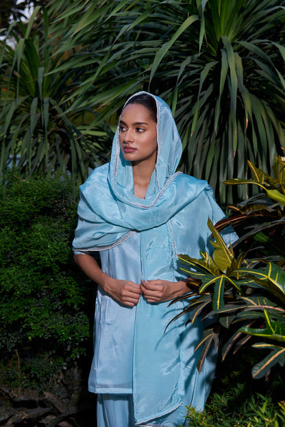 Ruhi Suit Blue
