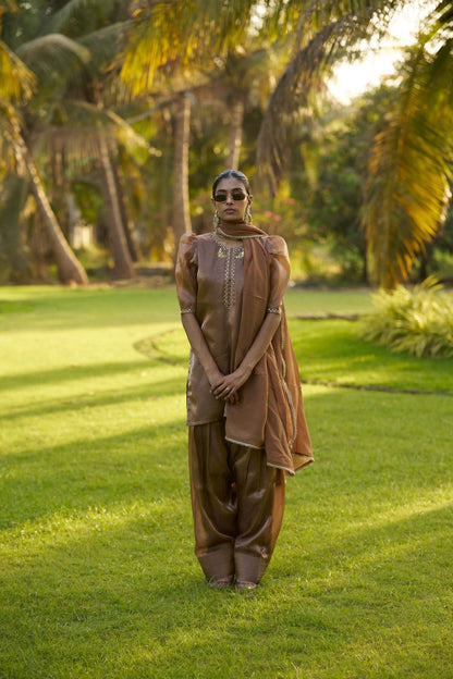 Dhri suit Brown