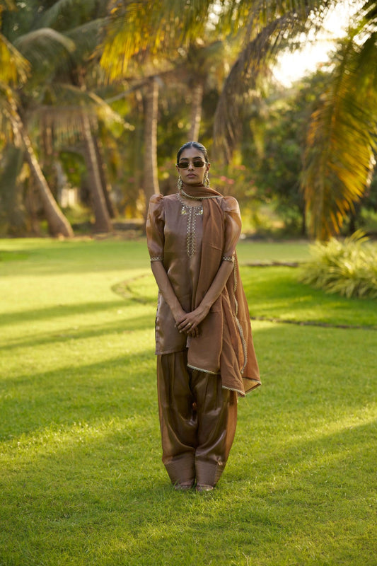 Dhri suit Brown
